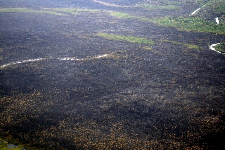 Imágenes aéreas del Pantanal incendiado.