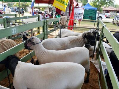 /pf/resources/images/abc-placeholder.png?d=2394