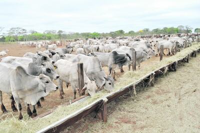 /pf/resources/images/abc-placeholder.png?d=2420