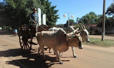 /pf/resources/images/abc-placeholder.png?d=2395