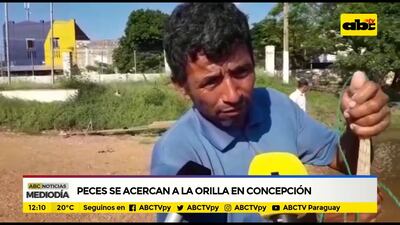 Imagen sin descripción