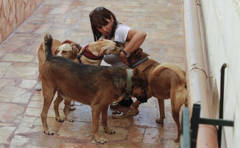 /pf/resources/images/abc-placeholder.png?d=2425