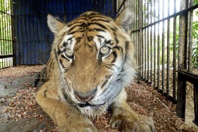 /pf/resources/images/abc-placeholder.png?d=2393