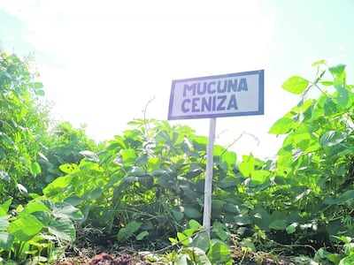 /pf/resources/images/abc-placeholder.png?d=2425