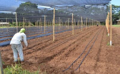 /pf/resources/images/abc-placeholder.png?d=2394