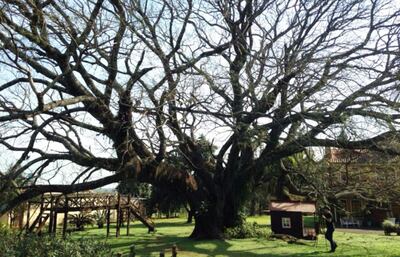 /pf/resources/images/abc-placeholder.png?d=2398