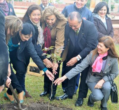 /pf/resources/images/abc-placeholder.png?d=2395