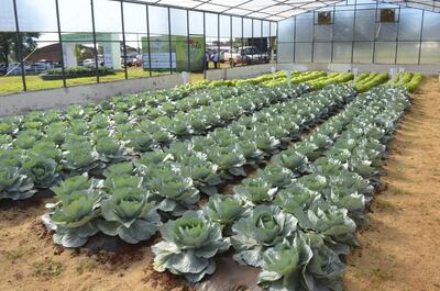 /pf/resources/images/abc-placeholder.png?d=2425