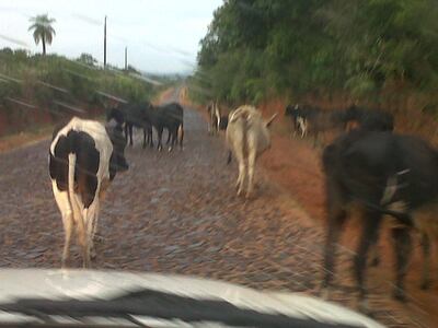 Imagen sin descripción