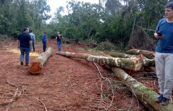 la-grafica-de-archivo-corresponde-a-una-intervencion-de-una-zona-deforestada-en-el-chaco-paraguayo-el-sector-productivo-defiende-la-explotacion-soste-194157000000-1796718.jpg
