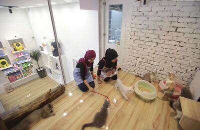 /pf/resources/images/abc-placeholder.png?d=2421