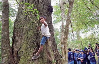 /pf/resources/images/abc-placeholder.png?d=2398