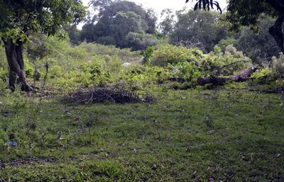 /pf/resources/images/abc-placeholder.png?d=2421