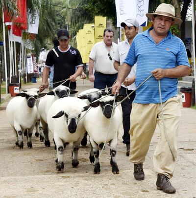 /pf/resources/images/abc-placeholder.png?d=2395