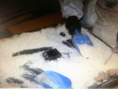 Imagen sin descripción