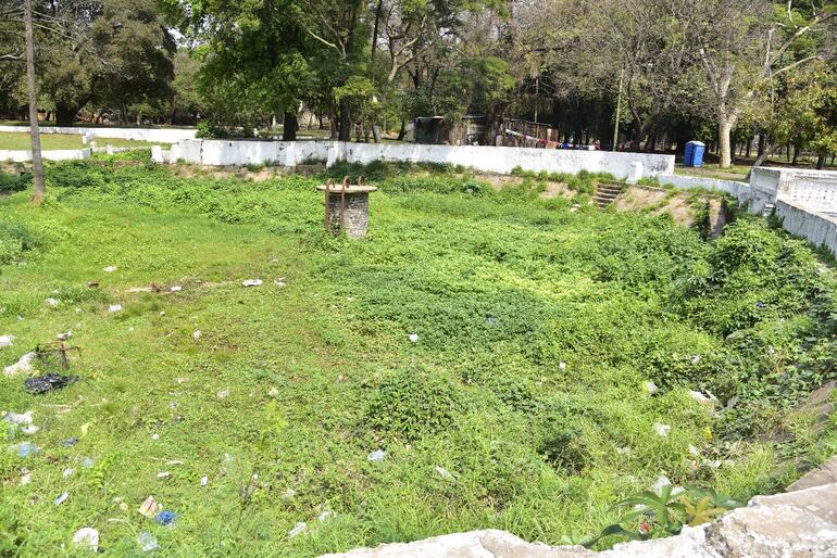 Los patios baldíos así como los estanques abandonados son foco de los criaderos de mosquitos. El Parque Caballero requiere de limpieza urgente.