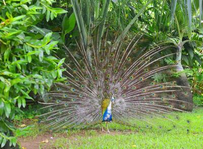 /pf/resources/images/abc-placeholder.png?d=2445