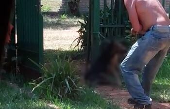 Los familiares incluso filmaron como evidencia cuando Alcides Alarcón Ramírez asesinaba al perro.