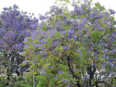 /pf/resources/images/abc-placeholder.png?d=2420