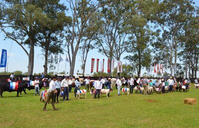 /pf/resources/images/abc-placeholder.png?d=2393