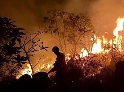 Bomberos del estado amazónico de Pará, Brasil, combaten un incendio en la región de Santarém. En un día detectaron al menos 1.500 focos de fuego. (EFE)