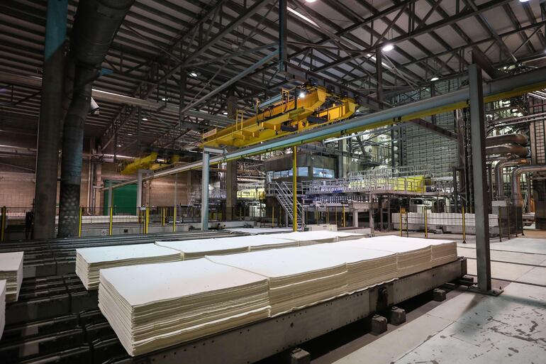 Eucaliptos en un eucaliptal