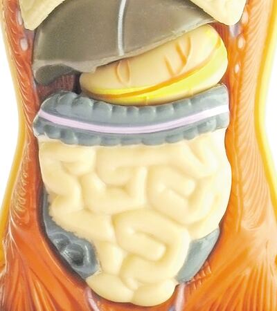 /pf/resources/images/abc-placeholder.png?d=2394