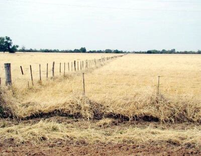 /pf/resources/images/abc-placeholder.png?d=2422