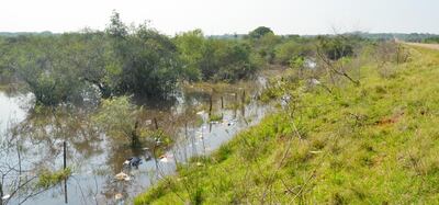 /pf/resources/images/abc-placeholder.png?d=2429