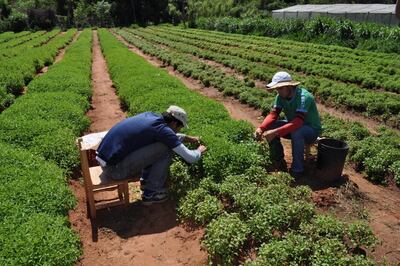 /pf/resources/images/abc-placeholder.png?d=2421