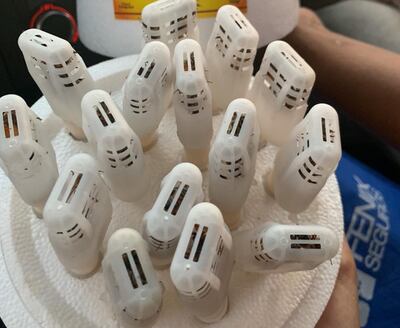 En la foto se ven jaulas de plástico con reinas ya nacidas y con obreras acompañantes, estas serán llevadas  a núcleos para su fecundación.