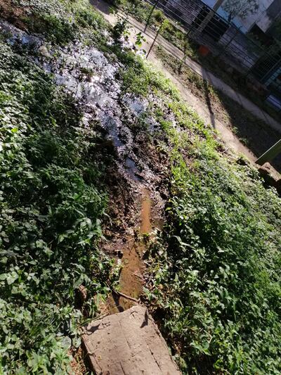 Cloaca en C. A. López.