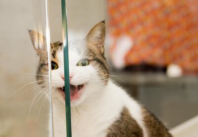 /pf/resources/images/abc-placeholder.png?d=2419