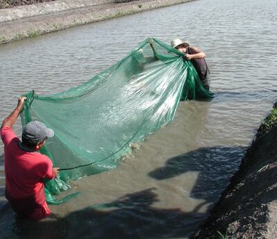 /pf/resources/images/abc-placeholder.png?d=2421