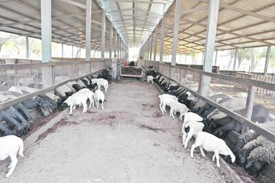 /pf/resources/images/abc-placeholder.png?d=2395