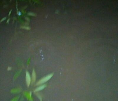 /pf/resources/images/abc-placeholder.png?d=2420