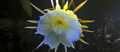 /pf/resources/images/abc-placeholder.png?d=2425