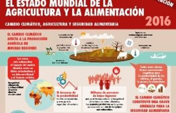 el-mayor-potencial-para-reducir-las-emisiones-de-carbono-en-america-latina-y-el-caribe-se-encuentra-en-sus-bosques-125743000000-1513829.jpg