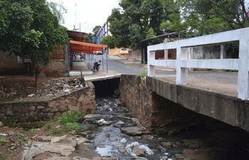 el-arroyo-ortega-que-atraviesa-caacupe-esta-colmatado-con-basura-y-desperdicios-que-la-comuna-no-recoge--224454000000-517290.jpg