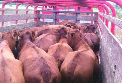 /pf/resources/images/abc-placeholder.png?d=2395