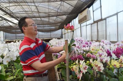 Imagen sin descripción