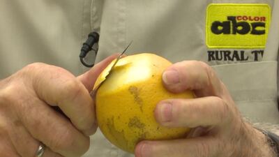 Imagen sin descripción