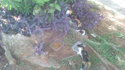 /pf/resources/images/abc-placeholder.png?d=2394