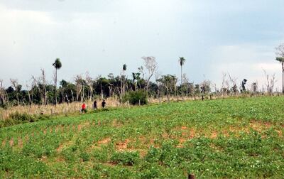 /pf/resources/images/abc-placeholder.png?d=2393