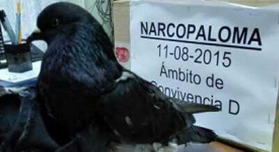Imagen sin descripción