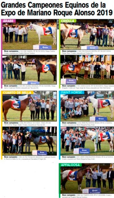 Los grandes Campeones Equinos.