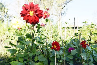 /pf/resources/images/abc-placeholder.png?d=2395