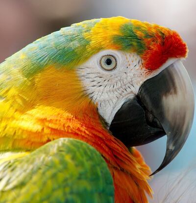 /pf/resources/images/abc-placeholder.png?d=2394