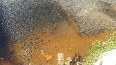 /pf/resources/images/abc-placeholder.png?d=2395