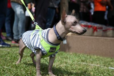 /pf/resources/images/abc-placeholder.png?d=2395